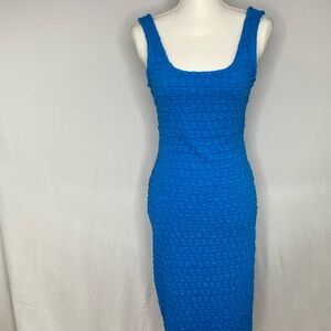 (NWT) Roselyn Sanchez light blue stretch fabric fits the body, sleeveless medium